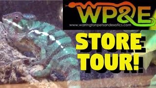REPTILE SHOP TOUR - Warrington Pets and Exotics