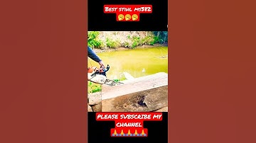 best chainsaw for cutting large trees #shortvideo #stihlchainsaw #stihlms382 #shortsfeed #stihl