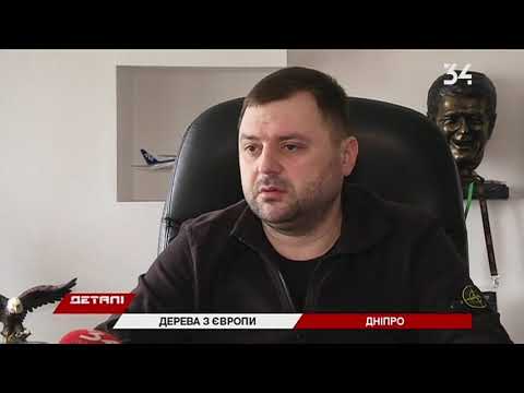 Как заместитель мэра Днепра искал деревья по всей Европе