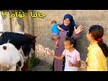 أول مرة يشوفوا التؤام الجديد«زين وزينة🐎»(متوقعتش فرحتهم بيهم 🤗)