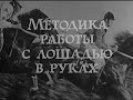 Методика работы с лошадью в руках