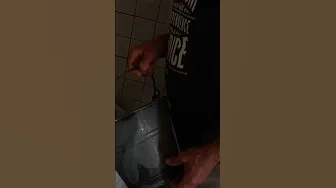 Una vita da pastore 🐄 #calabria #cultura #pastorizia #vacca #agricoltura thumbnail