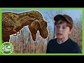 Escape the T-Rex! Invisibility Cloaks &amp; Epic Adventures | T-Rex Ranch Dinosaur Videos for Kids