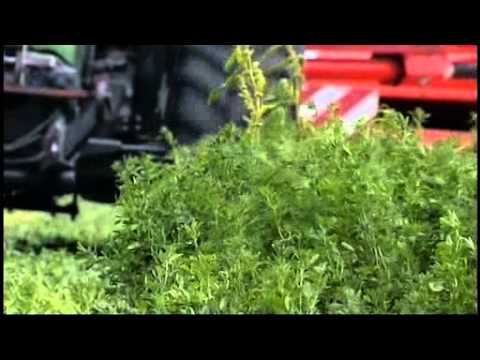 A la dcouverte de la faune et de la flore de Franc...