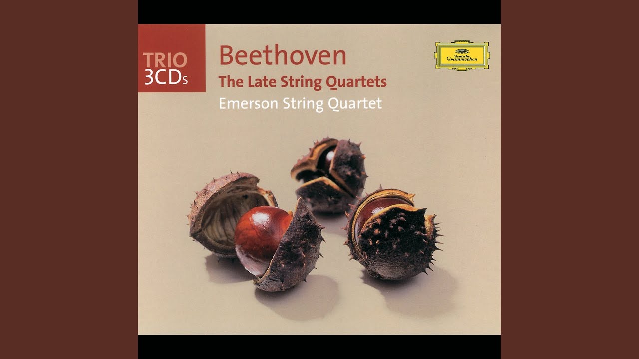 Guarda Beethoven: String Quartet No. 14 in C-Sharp Minor, Op. 131: III. Allegro moderato su YouTube