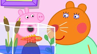 A Day With Doctor Hamster  | Peppa Pig Official Full Episodes