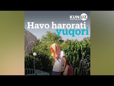 Video: Havo shlangi armaturalarining har xil turlari qanday?