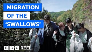 The little-known history of the Pyrenees mountain women - BBC REEL
