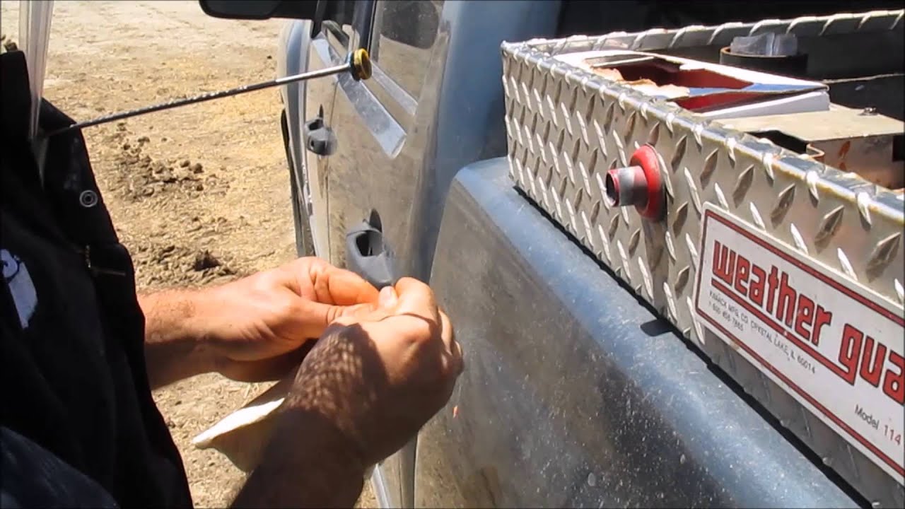 Senior Project Artificial Insemination of a Dairy Cow YouTube
