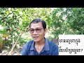 មានស្នេហ៍ហាក្នុងវ័យសិក្សាល្អទេ