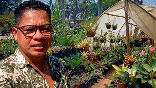 Así es un vivero en El Salvador 🌿