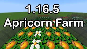 Pixelmon 1.16.5 | Automatic Apricorn Farm Tutorial