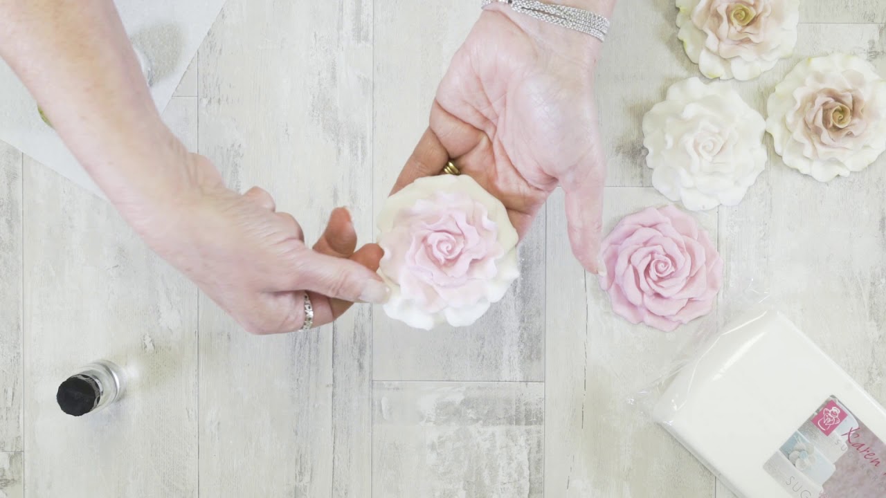 Karen Davies Large Rose YouTube