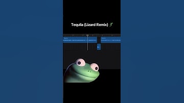 Thumbnail of Our staff is obsessed with this lizard and the Tequila song…  #lizardmeme #lizard
