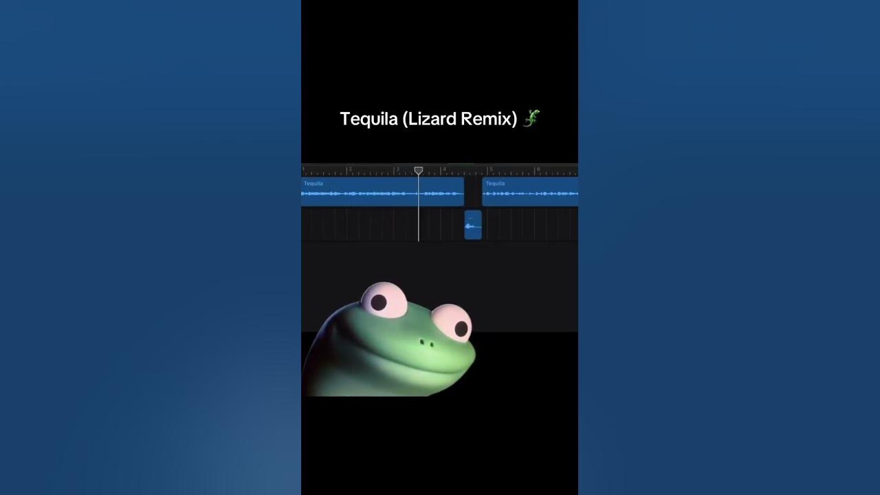 Our staff is obsessed with this lizard and the Tequila song…  #lizardmeme #lizard