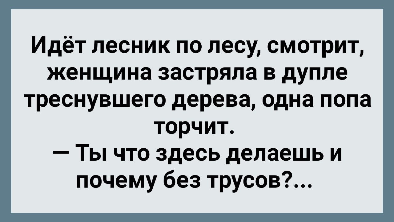 В лесу можно гулять без трусиков