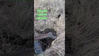 Находка сразила наповал) #metaldetector #коп #копатели #клад #кладоискатель #поискисокровищ