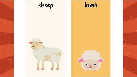 Animals and Their Babies Flashcards: Fun Learning for Preschoolers