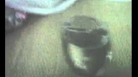 Project of Sat 12 Feb 2011 08:47:01 PM PST