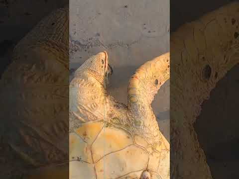 ٢٥ يونيو ٢٠٢٣