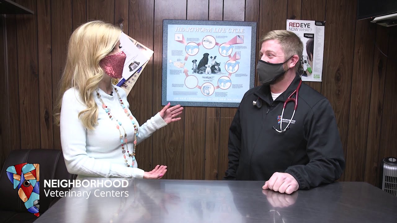 Neighborhood Veterinary Centers in Beaumont, TX, talks about foods that