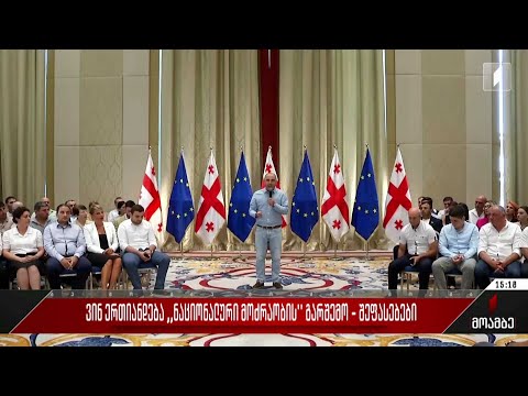 ვინ ერთიანდება „ნაციონალური მოძრაობის“ გარშემო - შეფასებები პოლიტიკურ სპექტრში