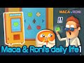 Macaroni maca and ronis daily life 1  macaandroni channel  cute and funny cartoon