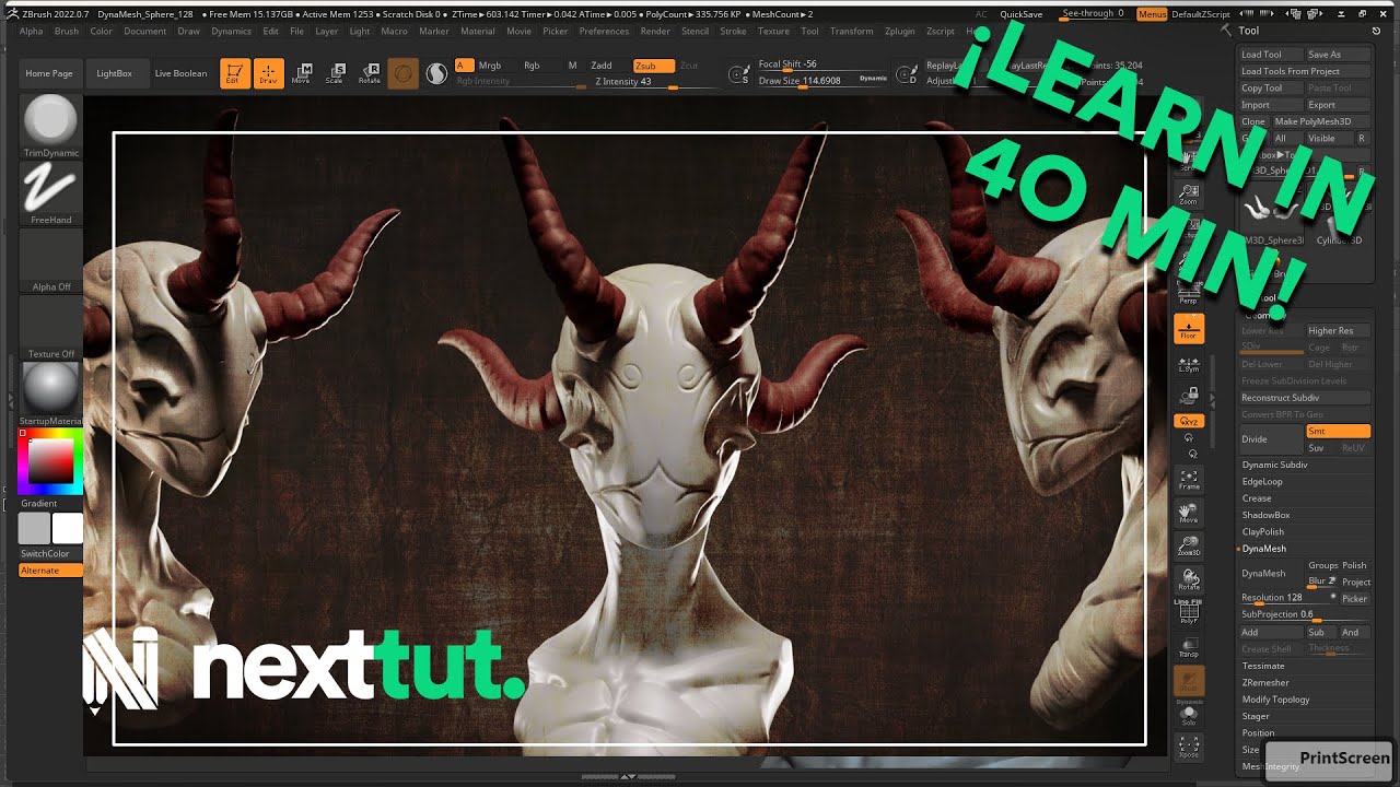 learn zbrush in a few weeks