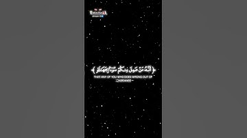 ما تيسر من سورة الانعام بصوت راشد الحليبة