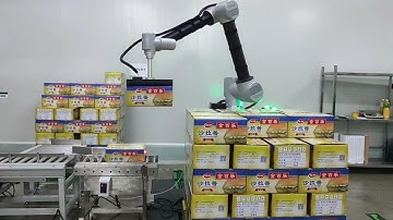 Automatic Robotic Palletizer, 10+PPM, 30+KG Payload #cobotpalletizer #roboticpalletizer