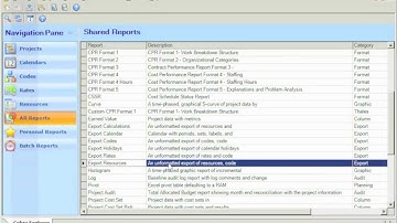 Deltek Cobra Reporting Tip