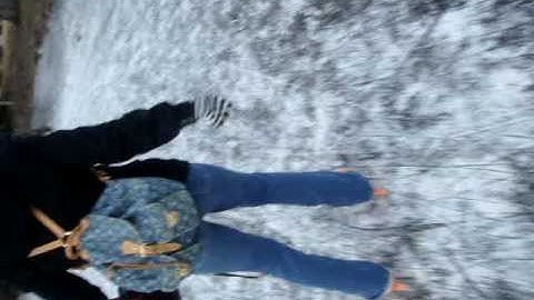 Fla - Vondelpark 2009