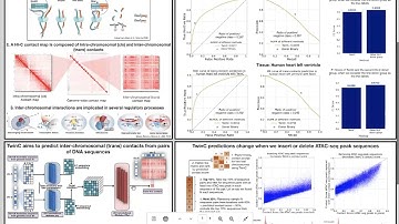 MLCB2023 Anupama Jha - Predicting trans Hi C contacts from DNA sequence with TwinC