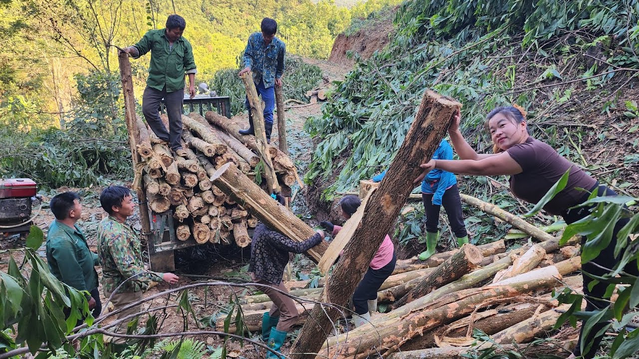 Transporting timber by agricultural vehicles