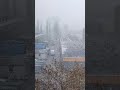A snowy morning in Krakow #viral #viralvideo #shortsvideo #shorts #shortsviral