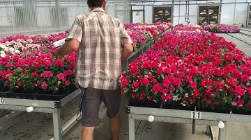 Agra Tech Rolling Bench Maximizing Your Space