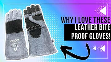 Review of Leather Bite Proof Gloves for Animal Handling
