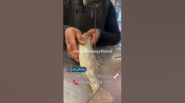 Máy Cưa Xương Cắt Thịt Cá Đông Lạnh ALPHA | Điện Máy Thiên Long📞0967.309.345