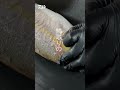 爽快鱗取りＭ