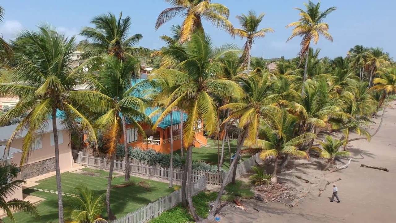 Mayaro Beach Trinidad and Tobago YouTube