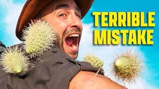 Painful Mistake! - SPIKED by a Cactus