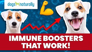 Immune Boosters That Work!