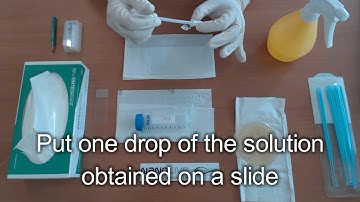 Bacteria on carrots biology experiment - tutorial video