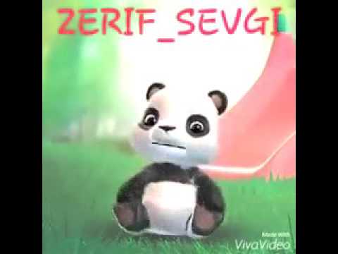 Zerif Sevgi ;) ( heyatim qucunda yatim)