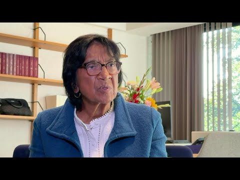Navi Pillay cuestiona las sanciones de Trump contra la CPI