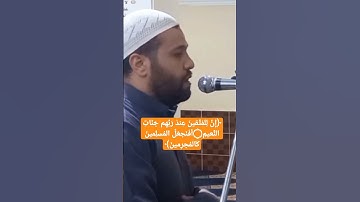 تلاوه هادئه | محسن خفاجي