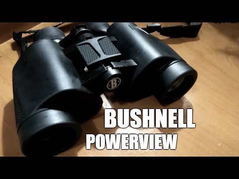 Vídeo: Bushnell Critica Los Juegos Modernos