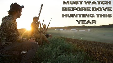 A Complete Guide to Dove Hunting (gear, tips, tactics, techniques and more...)