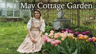 Download Lagu May Cottage Garden Tour - Blossom, Tulips, Clematis and No Mow May MP3 Download Lagu May Cottage Garden Tour - Blossom, Tulips, Clematis and No Mow May MP3