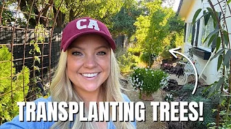 Secret Garden Transplanting Tuesday! Transplanting Coral Bark Maples & Heuchera
